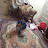 @yuseffmhmed3878