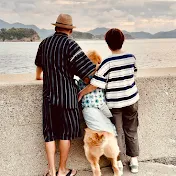 島っこ犬ホットちゃんねる
