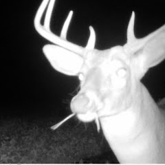 Sports and Huntin