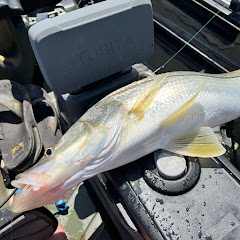 Draggin Tailz Fishing