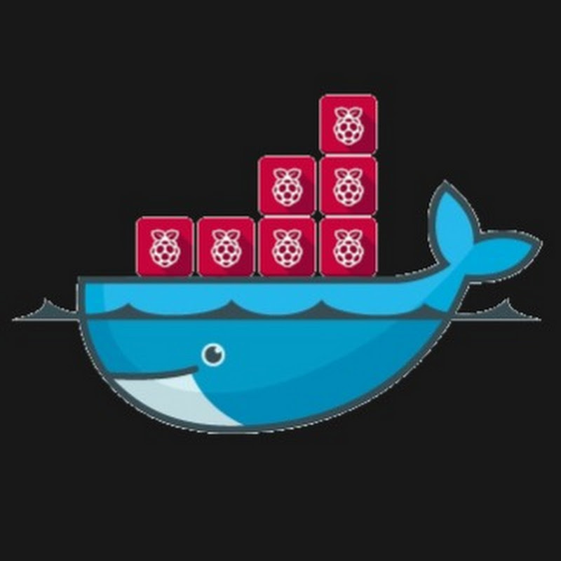 Raspberry Pi Cloud Logo