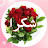 @عيوشالمر