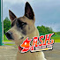 RPS0zjcRT5Q-channel-avatar-ZASH~元保護犬のパフォーマンス集団~