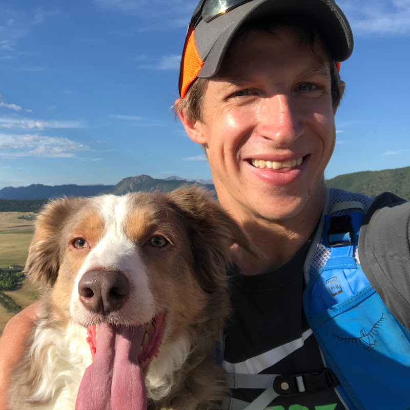 The SketchUp Free Essentials Logo