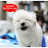 @VLOG-ld7vn