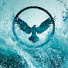 hBNCrphwGD0-channel-avatar-water jetpack