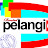 Rental Pelangi Official