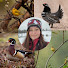 k4AvlE4vuaA-channel-avatar-Shayna Cossette Birding + Wildlife
