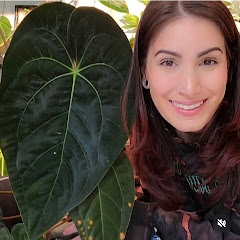 Jaclynn's Jungle Avatar