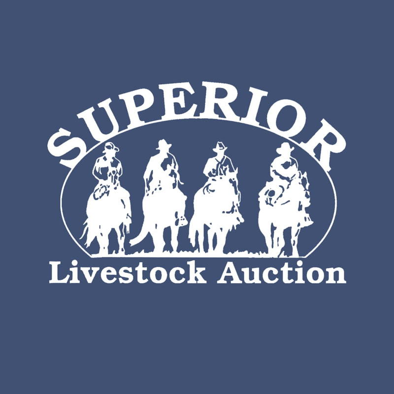 Superior Livestock | Easier Way to Buy & Sell
