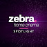 g0XvIJ0bXu8-channel-avatar-Zebra Home Cinema Spotlight | Projects & Q&As