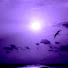 iZoLpLB7qEA-channel-avatar-ColaBeats