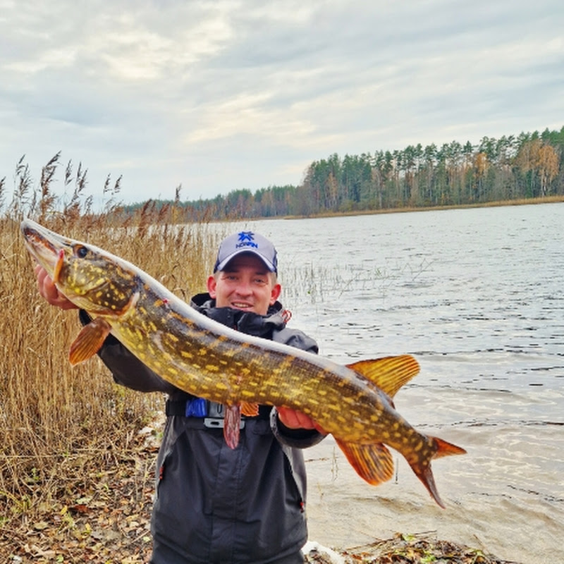 Рыбалка с Иваном в Латгалии Logo