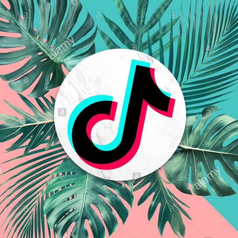 The Best Tiktok Mashup Collection 