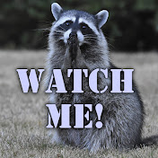 Raccoon says