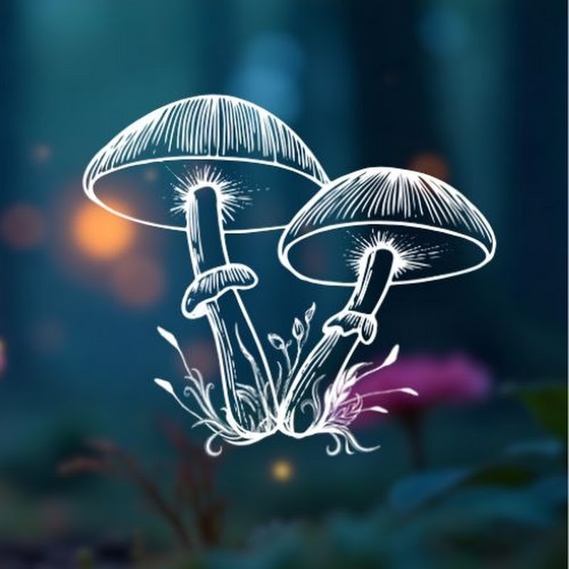Magical Forest Music