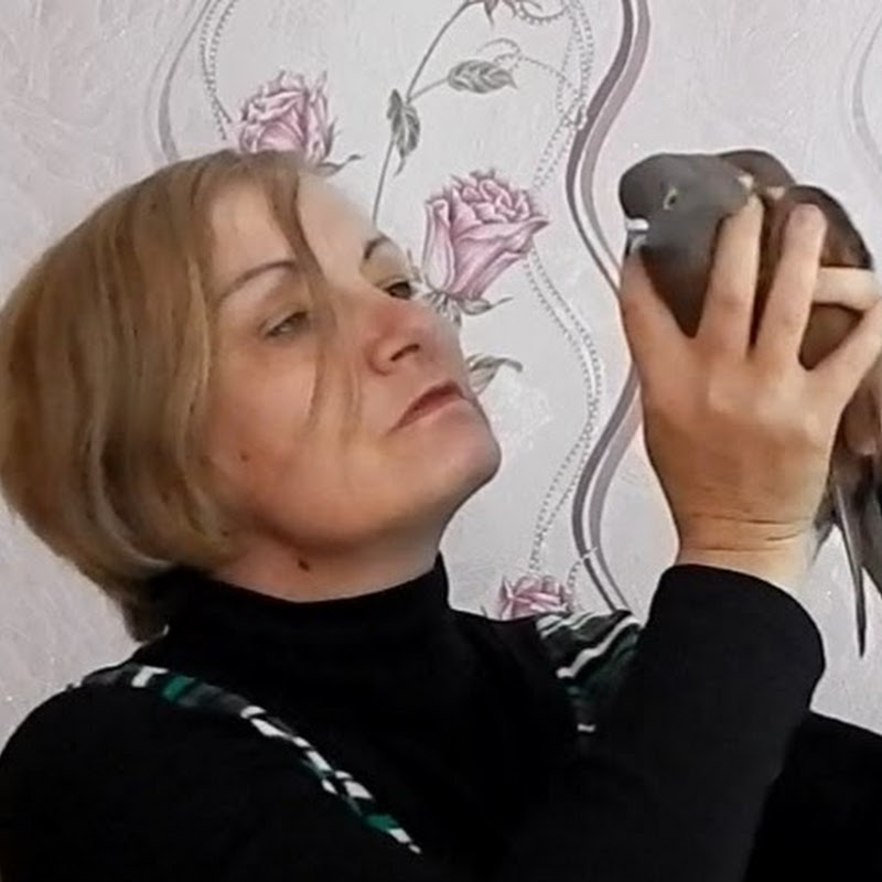 Bird documentaries icon