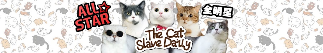 The Cat Slave DailyçŒ«å¥´çš„æ—¥å¸¸ Avatar de chaîne YouTube