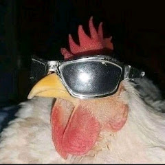 Gnozzares