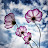 @tasneemahmed5366