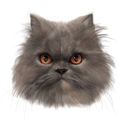 CAts 貓貓們アイコン画像