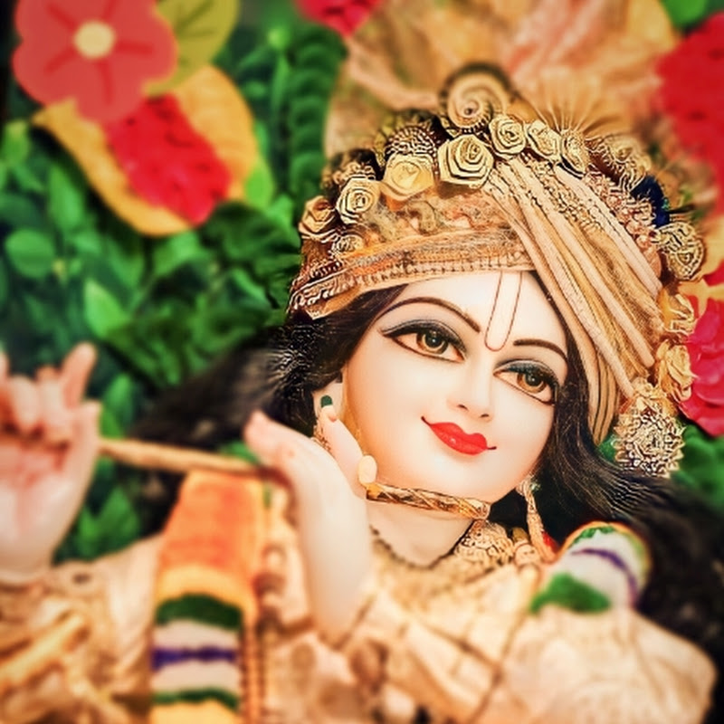Tulsi Earning 