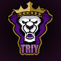 TRIY MOTIVATION logo