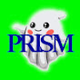 P.R.I.S.M. Paranormal Research Group logo