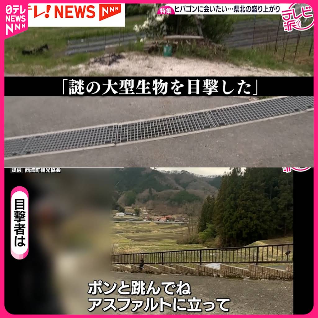 怪物ヒバゴン【希少】 妖怪202・ヒバゴン(広島) | 大蛇堂-おろちどう-