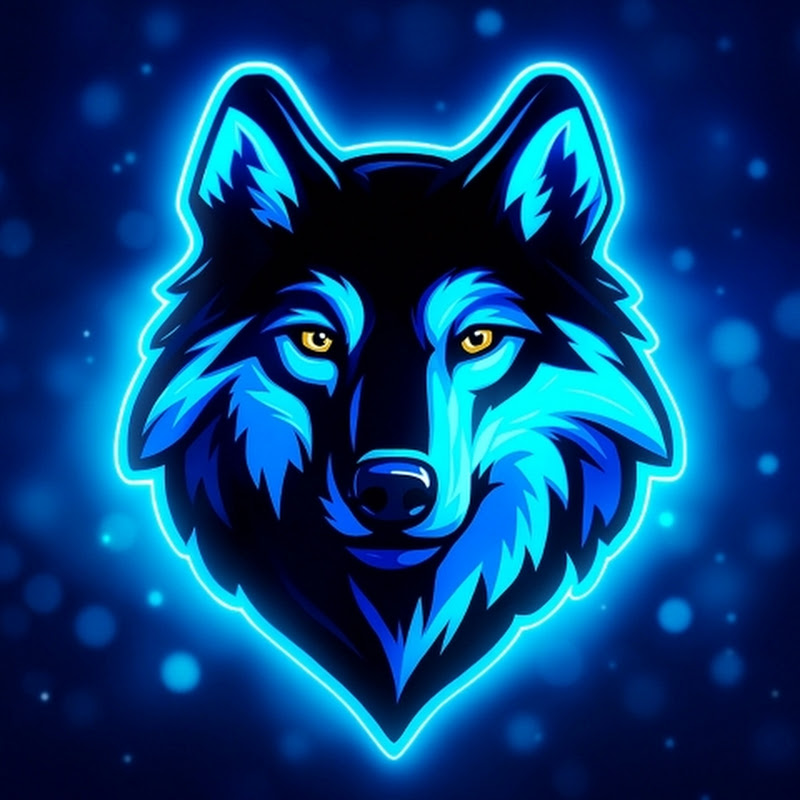 Gamer Pro 8000 🐺 