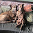 @TheOldWiseBarbarian Avatar