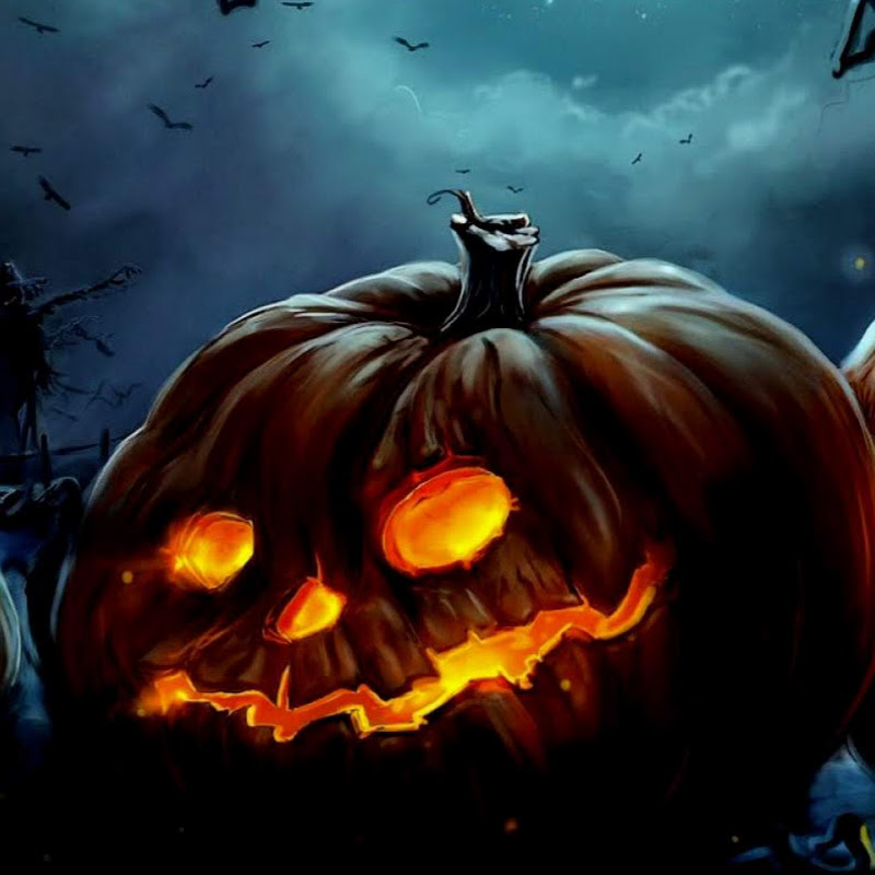 Ahmed Desouky-احمد دسوقي