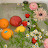 @뜨숑-l7s3o