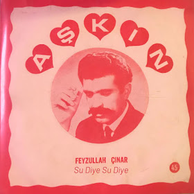 Feyzullah Çınar