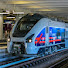 Bf0tGDRk1Dg-channel-avatar-Nico Spotting 95
