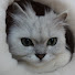 Os_2P6KR49c-channel-avatar-julie@t33e4orce