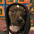 MamTsTtFxyE-channel-avatar-MrSpookyDoo