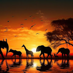 Wildlife In Village