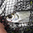 @keeps4970 Avatar