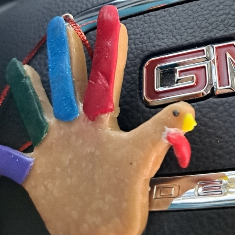 Brother Turkey