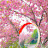 @manmandi45