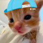 초이