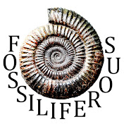 Fossiliferous