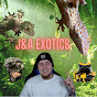 J&A EXOTICS logo