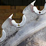 OlxdAQT1fgY-channel-avatar-HelmsburgSawmill