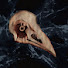0gxxSeAVVZU-channel-avatar-theuncoolbird