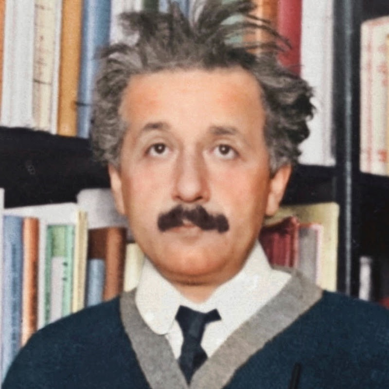 History Section
