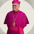 zr02eMjMkPA-channel-avatar-Mgr. Gérard de Nice