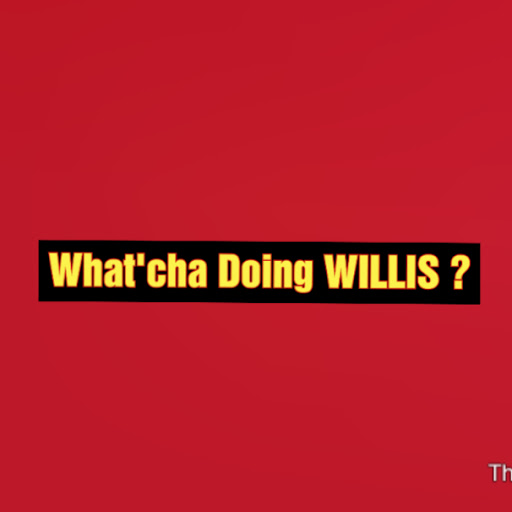 What'cha Doing Willis?