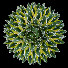 wtx7INs53LY-channel-avatar-Syed5